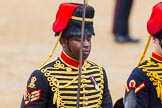 The Colonel's Review 2014.
Horse Guards Parade, Westminster,
London,

United Kingdom,
on 07 June 2014 at 11:54, image #619