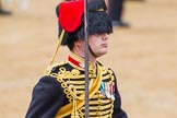The Colonel's Review 2014.
Horse Guards Parade, Westminster,
London,

United Kingdom,
on 07 June 2014 at 11:54, image #620