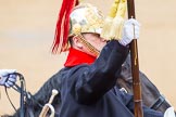 The Colonel's Review 2014.
Horse Guards Parade, Westminster,
London,

United Kingdom,
on 07 June 2014 at 11:54, image #626