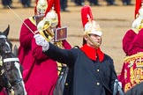 The Colonel's Review 2014.
Horse Guards Parade, Westminster,
London,

United Kingdom,
on 07 June 2014 at 11:56, image #639