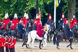 The Colonel's Review 2014.
Horse Guards Parade, Westminster,
London,

United Kingdom,
on 07 June 2014 at 12:05, image #701