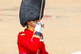 The Colonel's Review 2014.
Horse Guards Parade, Westminster,
London,

United Kingdom,
on 07 June 2014 at 12:06, image #705