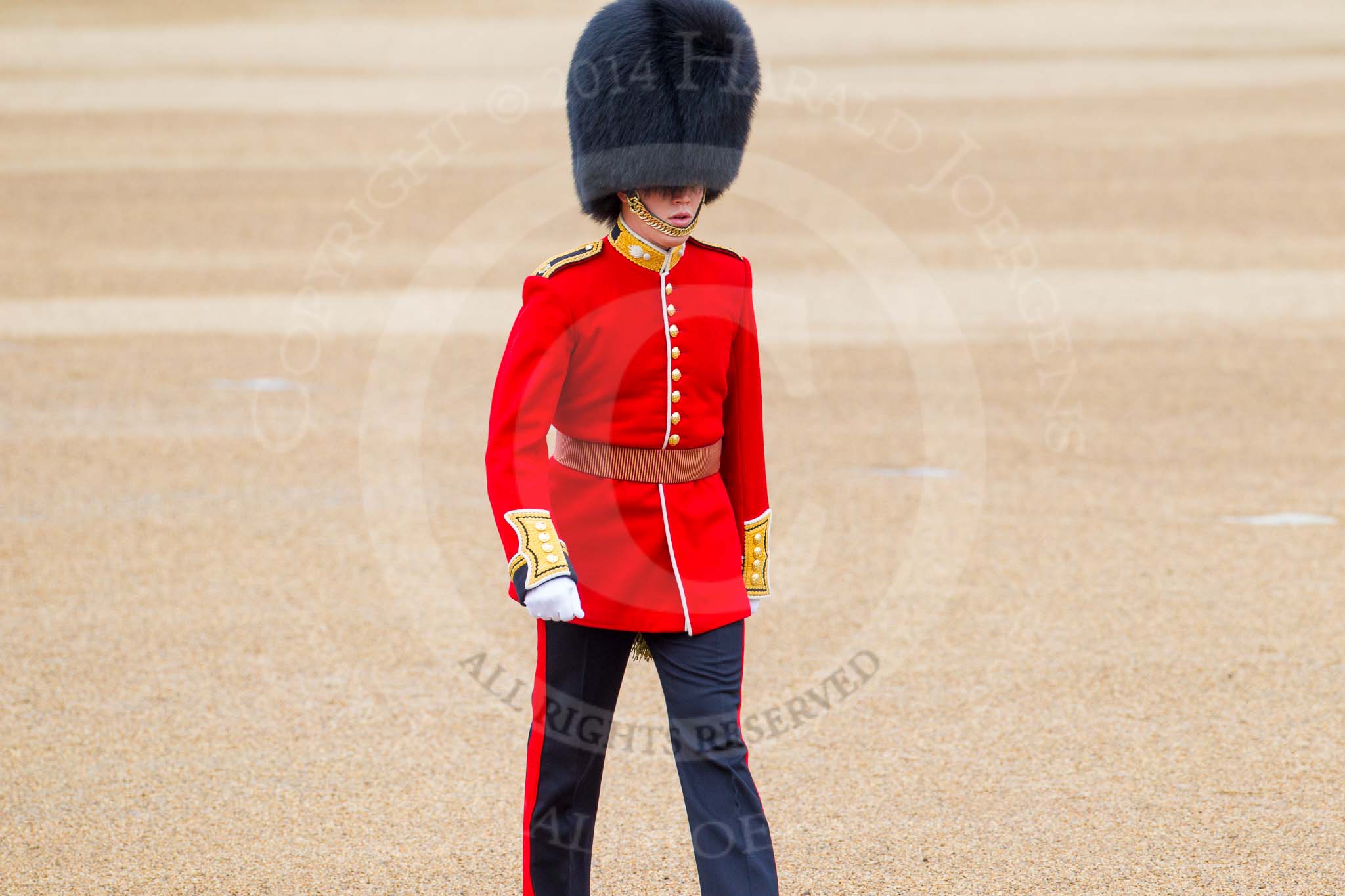 Trooping the Colour 2014.
Horse Guards Parade, Westminster,
London SW1A,

United Kingdom,
on 14 June 2014 at 09:38, image #29