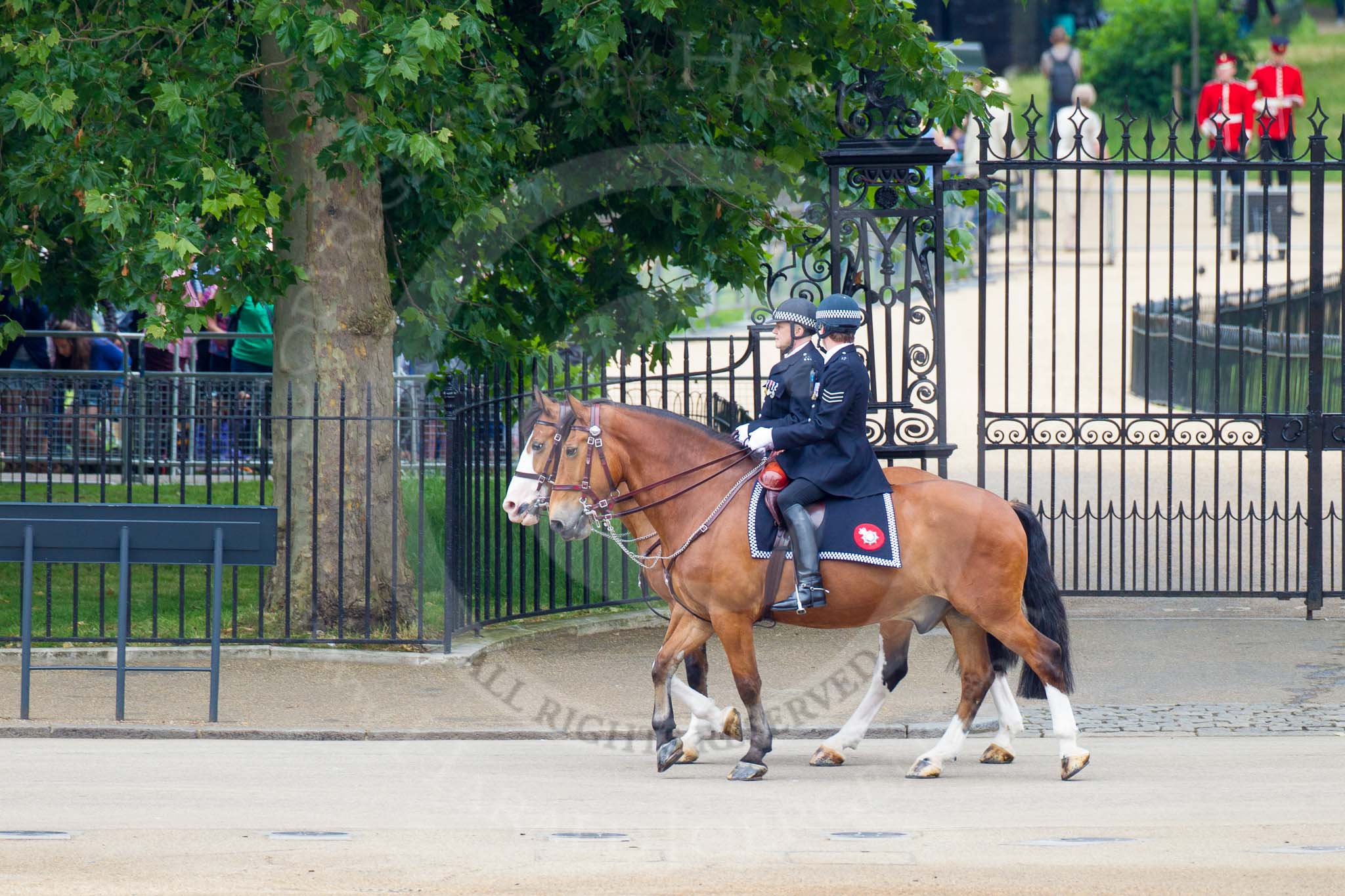 Trooping the Colour 2014.
Horse Guards Parade, Westminster,
London SW1A,

United Kingdom,
on 14 June 2014 at 09:51, image #56