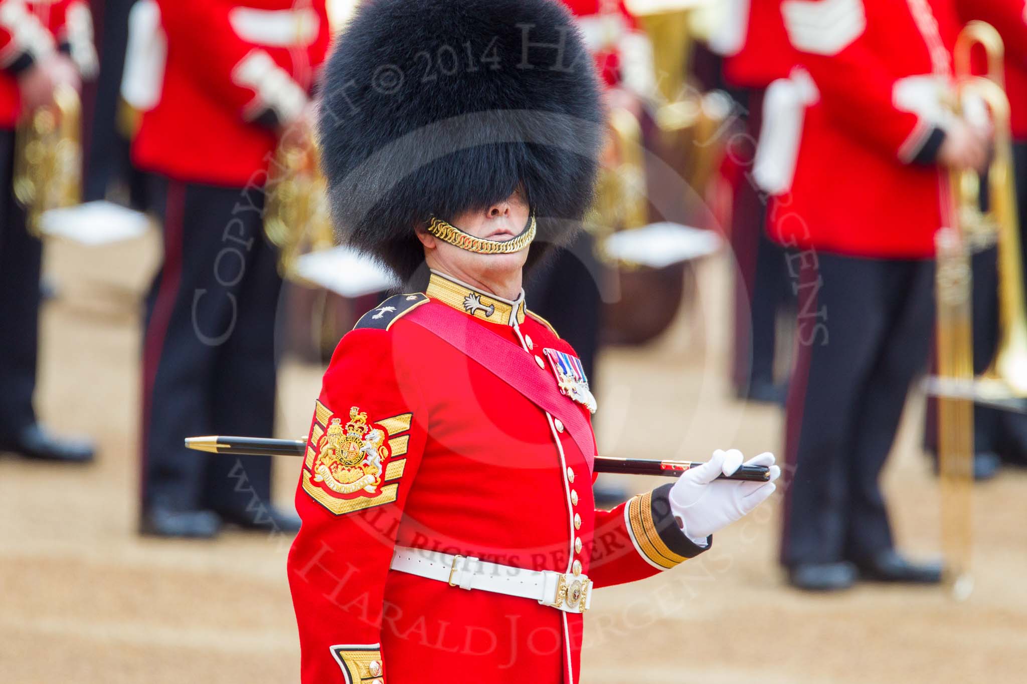 Trooping the Colour 2014.
Horse Guards Parade, Westminster,
London SW1A,

United Kingdom,
on 14 June 2014 at 10:29, image #163