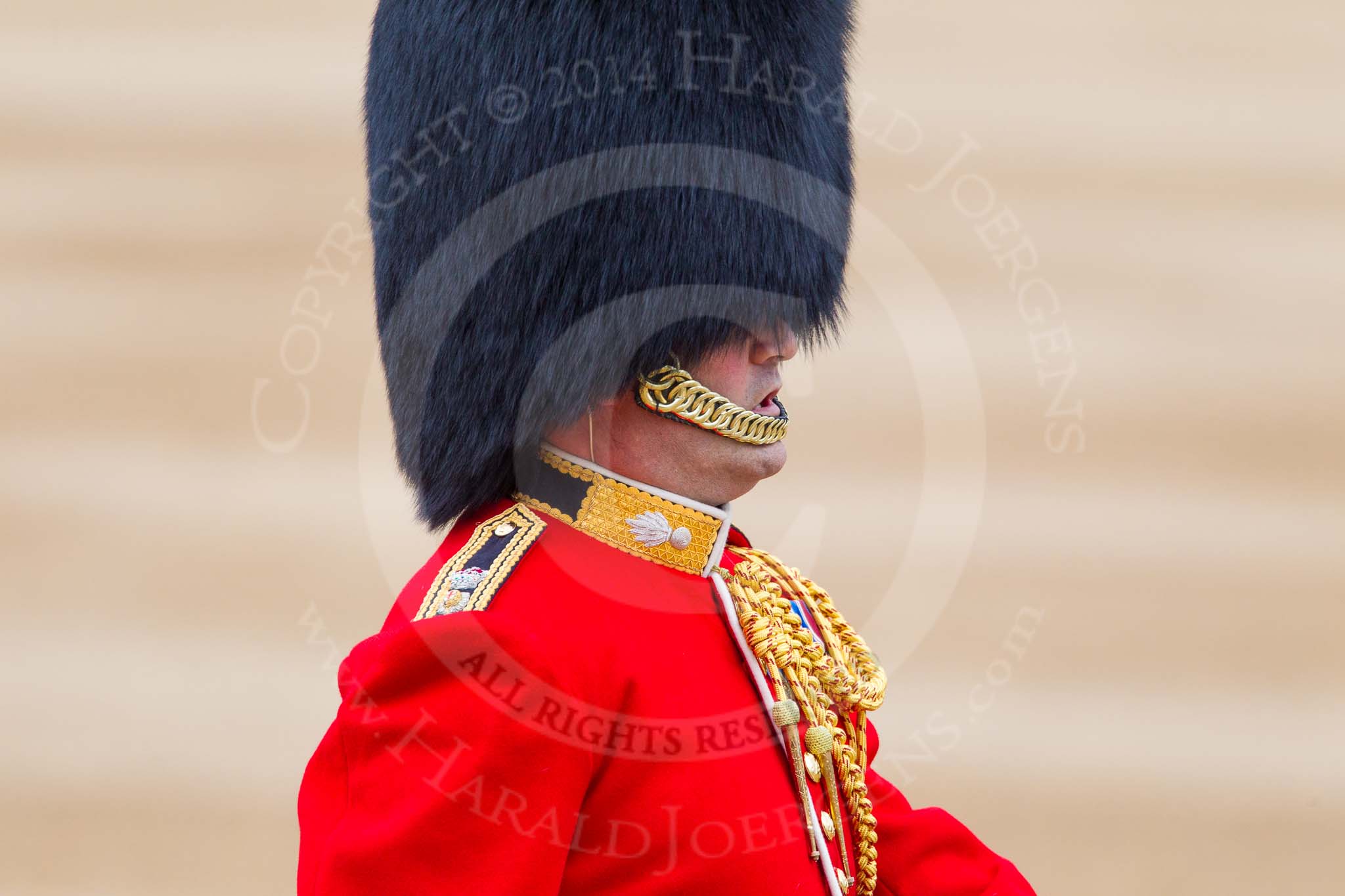 Trooping the Colour 2014.
Horse Guards Parade, Westminster,
London SW1A,

United Kingdom,
on 14 June 2014 at 10:58, image #337