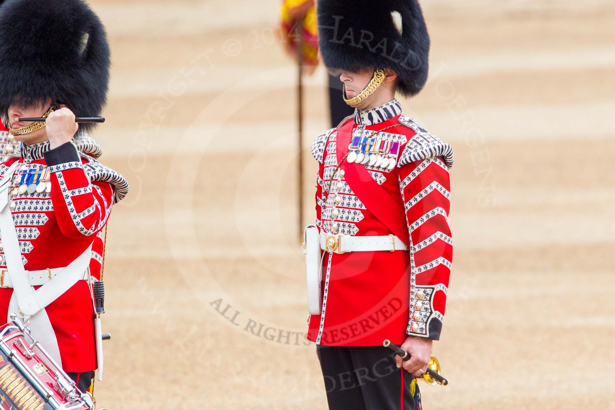 Trooping the Colour 2014.
Horse Guards Parade, Westminster,
London SW1A,

United Kingdom,
on 14 June 2014 at 11:12, image #460