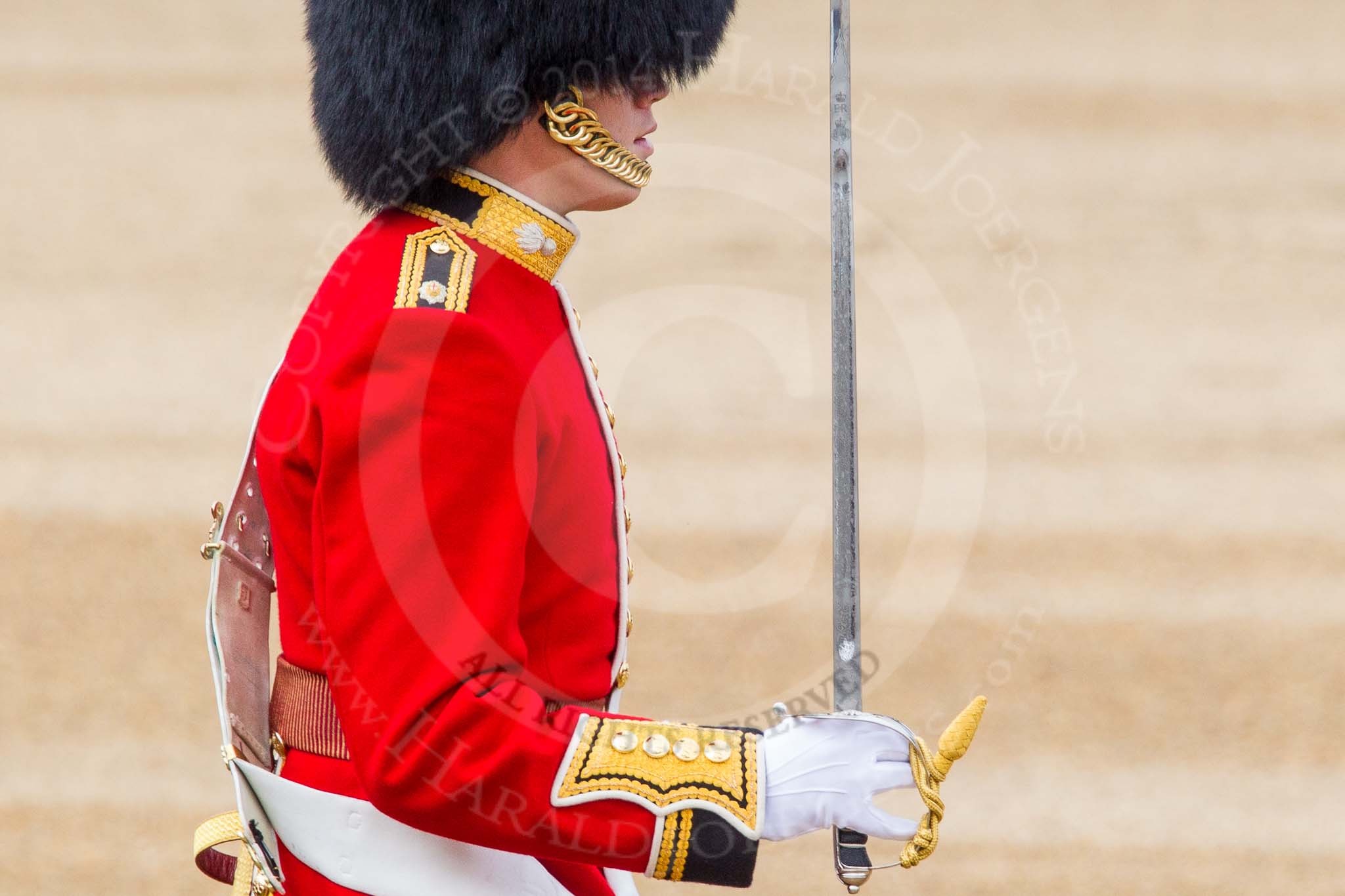 Trooping the Colour 2014.
Horse Guards Parade, Westminster,
London SW1A,

United Kingdom,
on 14 June 2014 at 11:18, image #509