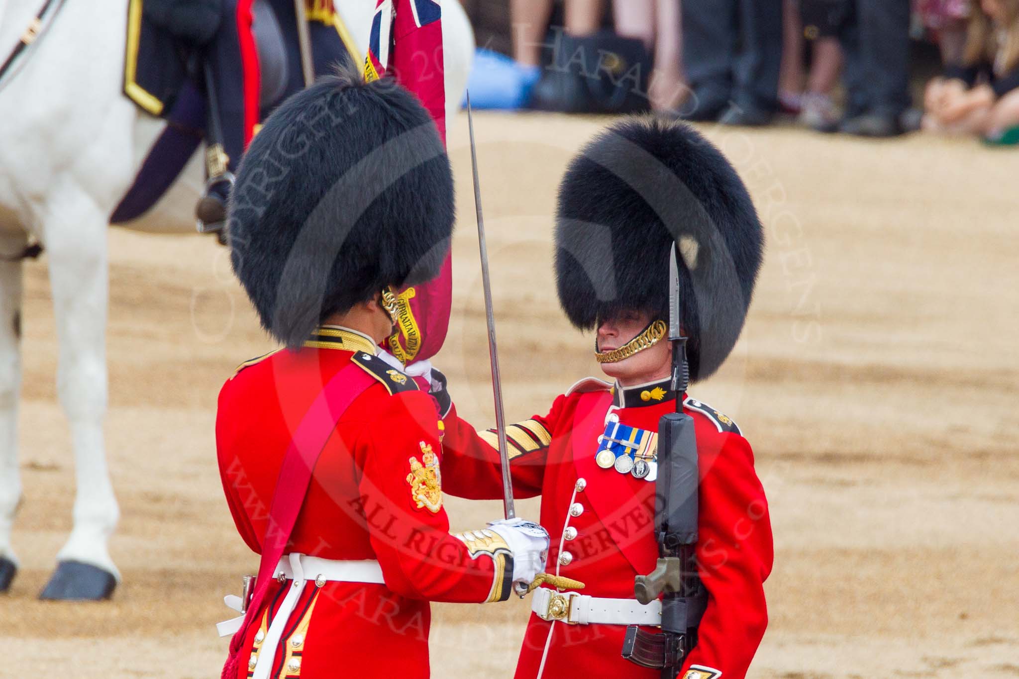Trooping the Colour 2014.
Horse Guards Parade, Westminster,
London SW1A,

United Kingdom,
on 14 June 2014 at 11:21, image #528