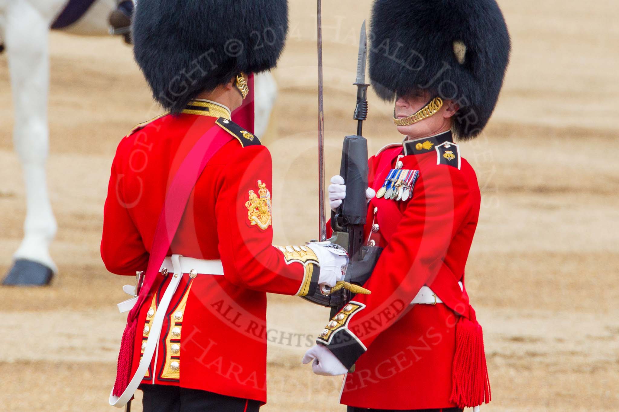 Trooping the Colour 2014.
Horse Guards Parade, Westminster,
London SW1A,

United Kingdom,
on 14 June 2014 at 11:21, image #529