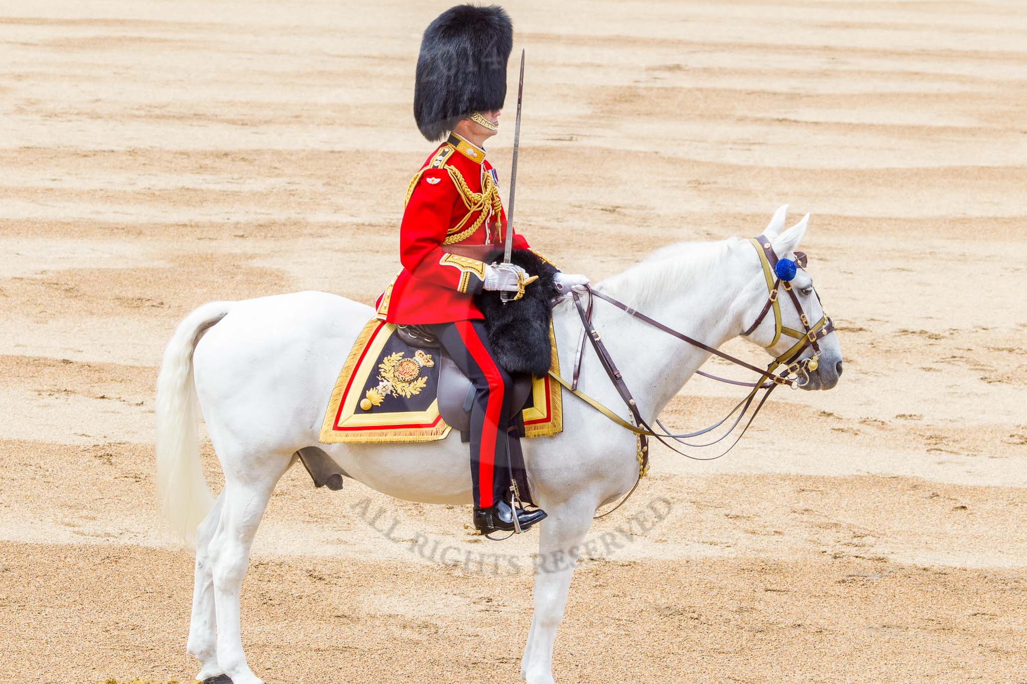 Trooping the Colour 2014.
Horse Guards Parade, Westminster,
London SW1A,

United Kingdom,
on 14 June 2014 at 11:36, image #621