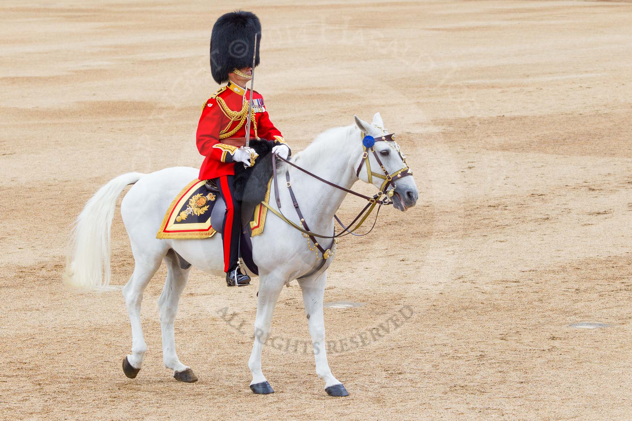 Trooping the Colour 2014.
Horse Guards Parade, Westminster,
London SW1A,

United Kingdom,
on 14 June 2014 at 11:48, image #696