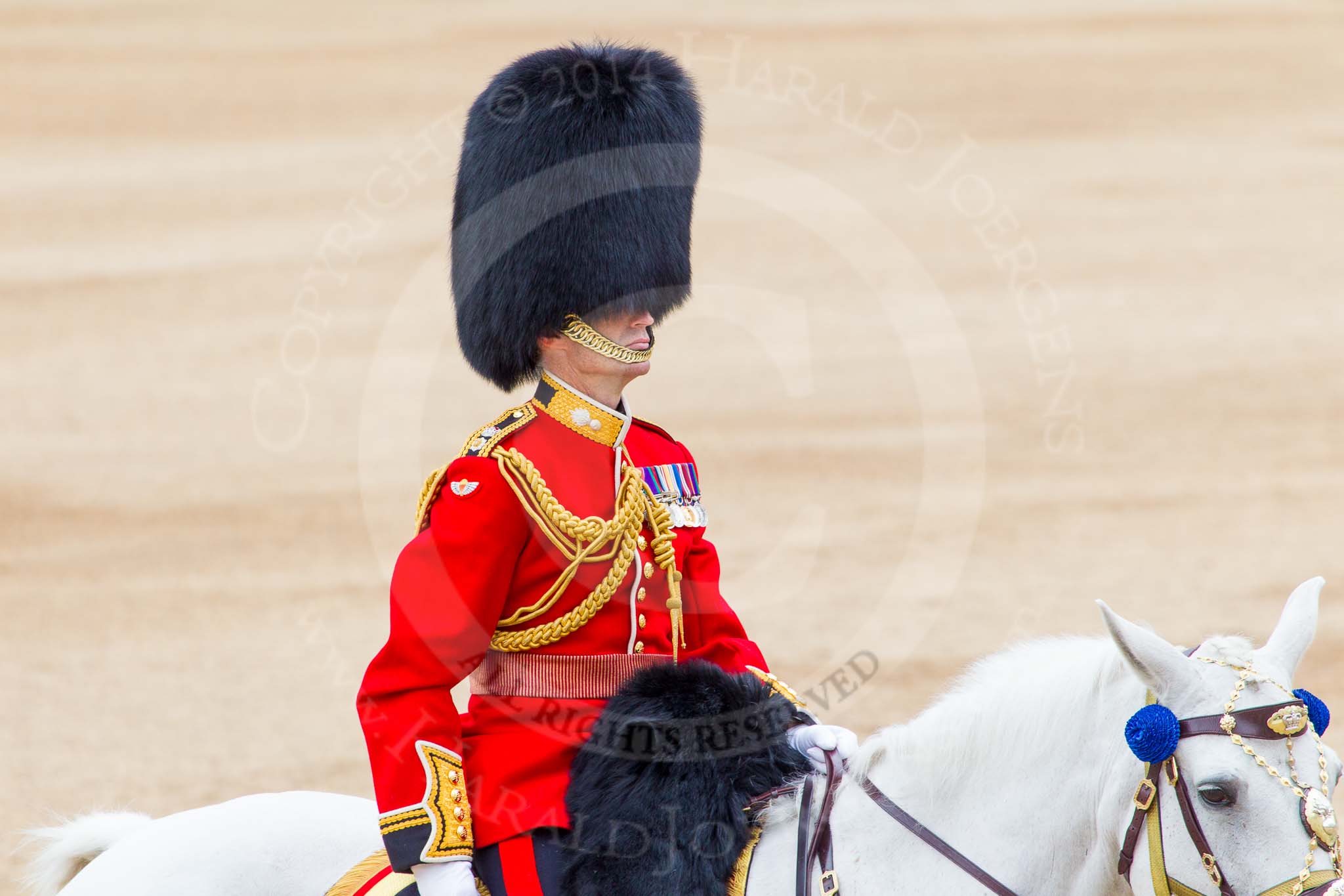 Trooping the Colour 2014.
Horse Guards Parade, Westminster,
London SW1A,

United Kingdom,
on 14 June 2014 at 11:48, image #697