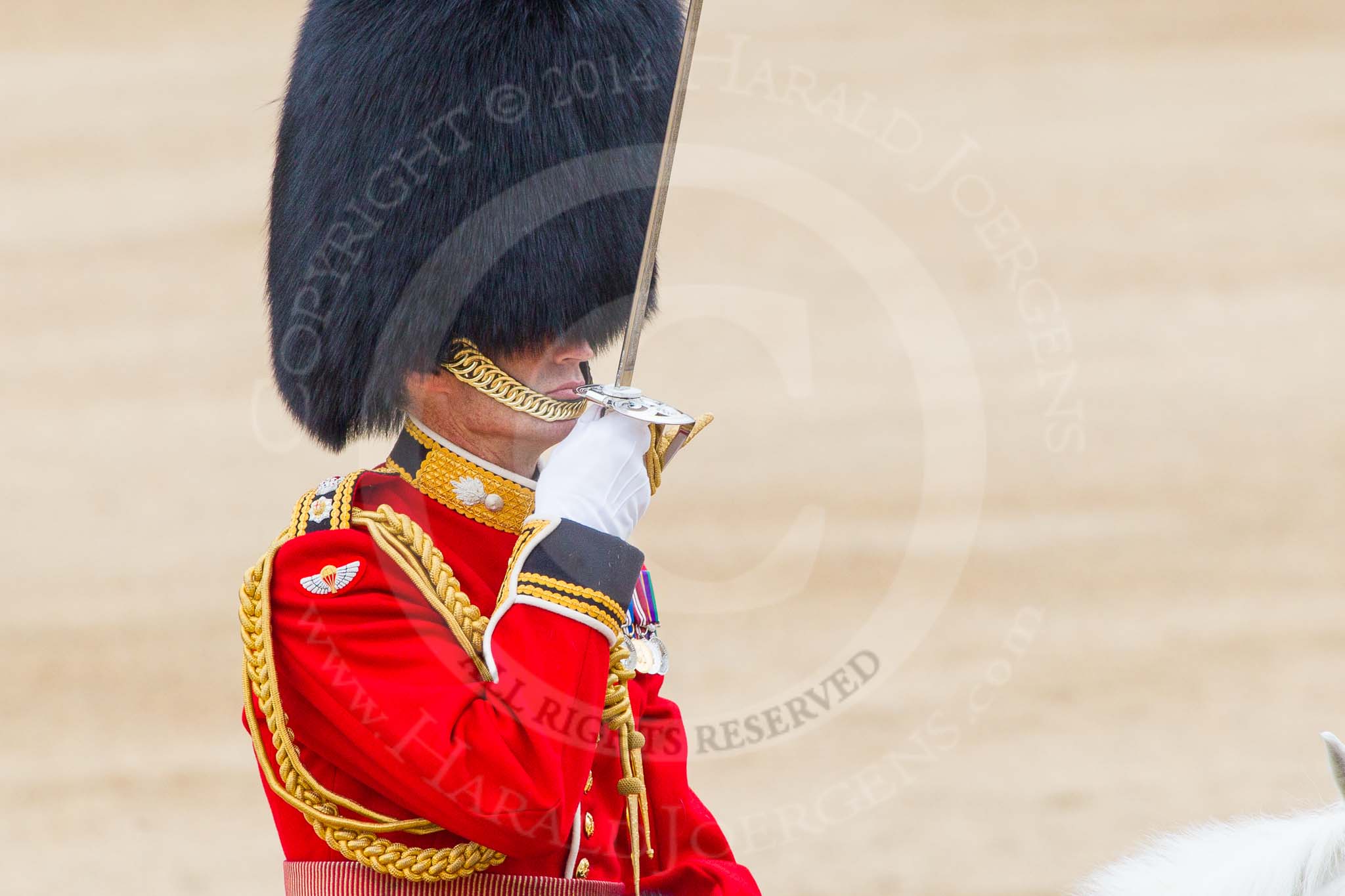 Trooping the Colour 2014.
Horse Guards Parade, Westminster,
London SW1A,

United Kingdom,
on 14 June 2014 at 11:48, image #698