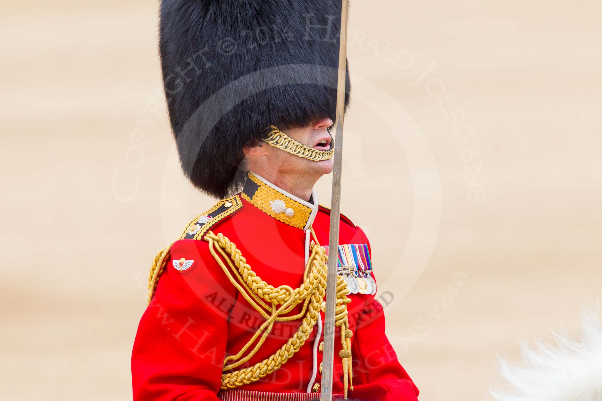 Trooping the Colour 2014.
Horse Guards Parade, Westminster,
London SW1A,

United Kingdom,
on 14 June 2014 at 12:10, image #880