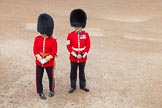 Photo 1406140929065D21874HaraldJoergens Trooping the Colour 2014.
Horse Guards Parade, Westminster,
London SW1A,
United Kingdom,
on 14 June 2014 at 09:29, image #19