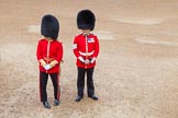 Trooping the Colour 2014.
Horse Guards Parade, Westminster,
London SW1A,

United Kingdom,
on 14 June 2014 at 09:29, image #19