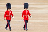 Trooping the Colour 2014.
Horse Guards Parade, Westminster,
London SW1A,

United Kingdom,
on 14 June 2014 at 09:39, image #33