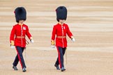 Photo 1406140939131D45387HaraldJoergens Trooping the Colour 2014.
Horse Guards Parade, Westminster,
London SW1A,
United Kingdom,
on 14 June 2014 at 09:39, image #33