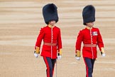 Photo 1406140941331D45416HaraldJoergens Trooping the Colour 2014.
Horse Guards Parade, Westminster,
London SW1A,
United Kingdom,
on 14 June 2014 at 09:41, image #43