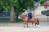 Trooping the Colour 2014.
Horse Guards Parade, Westminster,
London SW1A,

United Kingdom,
on 14 June 2014 at 09:51, image #56