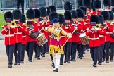 Trooping the Colour 2014.
Horse Guards Parade, Westminster,
London SW1A,

United Kingdom,
on 14 June 2014 at 10:12, image #76