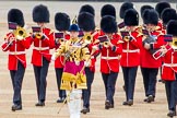 Photo 1406141013261D45758HaraldJoergens Trooping the Colour 2014.
Horse Guards Parade, Westminster,
London SW1A,
United Kingdom,
on 14 June 2014 at 10:13, image #79
