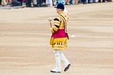 Trooping the Colour 2014.
Horse Guards Parade, Westminster,
London SW1A,

United Kingdom,
on 14 June 2014 at 10:13, image #80