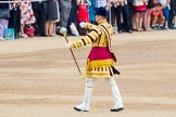Photo 1406141013451D45779HaraldJoergens Trooping the Colour 2014.
Horse Guards Parade, Westminster,
London SW1A,
United Kingdom,
on 14 June 2014 at 10:13, image #81