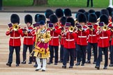 Trooping the Colour 2014.
Horse Guards Parade, Westminster,
London SW1A,

United Kingdom,
on 14 June 2014 at 10:16, image #99