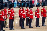 Trooping the Colour 2014.
Horse Guards Parade, Westminster,
London SW1A,

United Kingdom,
on 14 June 2014 at 10:17, image #110