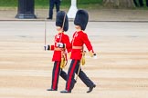 Trooping the Colour 2014.
Horse Guards Parade, Westminster,
London SW1A,

United Kingdom,
on 14 June 2014 at 10:27, image #158