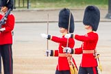 Trooping the Colour 2014.
Horse Guards Parade, Westminster,
London SW1A,

United Kingdom,
on 14 June 2014 at 10:27, image #159