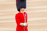 Trooping the Colour 2014.
Horse Guards Parade, Westminster,
London SW1A,

United Kingdom,
on 14 June 2014 at 10:28, image #160