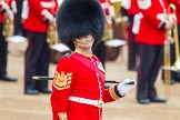 Trooping the Colour 2014.
Horse Guards Parade, Westminster,
London SW1A,

United Kingdom,
on 14 June 2014 at 10:29, image #163