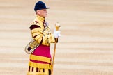 Trooping the Colour 2014.
Horse Guards Parade, Westminster,
London SW1A,

United Kingdom,
on 14 June 2014 at 10:29, image #165