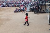 Trooping the Colour 2014.
Horse Guards Parade, Westminster,
London SW1A,

United Kingdom,
on 14 June 2014 at 10:35, image #218