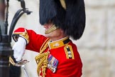 Trooping the Colour 2014.
Horse Guards Parade, Westminster,
London SW1A,

United Kingdom,
on 14 June 2014 at 10:40, image #223