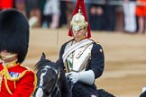 Trooping the Colour 2014.
Horse Guards Parade, Westminster,
London SW1A,

United Kingdom,
on 14 June 2014 at 10:57, image #325