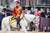 Trooping the Colour 2014.
Horse Guards Parade, Westminster,
London SW1A,

United Kingdom,
on 14 June 2014 at 10:59, image #354