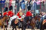 Trooping the Colour 2014.
Horse Guards Parade, Westminster,
London SW1A,

United Kingdom,
on 14 June 2014 at 10:59, image #359