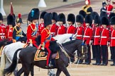 Trooping the Colour 2014.
Horse Guards Parade, Westminster,
London SW1A,

United Kingdom,
on 14 June 2014 at 11:04, image #415