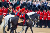 Trooping the Colour 2014.
Horse Guards Parade, Westminster,
London SW1A,

United Kingdom,
on 14 June 2014 at 11:04, image #417