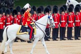 Trooping the Colour 2014.
Horse Guards Parade, Westminster,
London SW1A,

United Kingdom,
on 14 June 2014 at 11:05, image #421