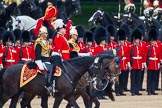 Trooping the Colour 2014.
Horse Guards Parade, Westminster,
London SW1A,

United Kingdom,
on 14 June 2014 at 11:05, image #422