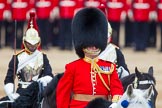 Trooping the Colour 2014.
Horse Guards Parade, Westminster,
London SW1A,

United Kingdom,
on 14 June 2014 at 11:07, image #427