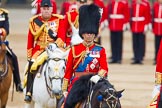 Trooping the Colour 2014.
Horse Guards Parade, Westminster,
London SW1A,

United Kingdom,
on 14 June 2014 at 11:07, image #431