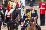 Trooping the Colour 2014.
Horse Guards Parade, Westminster,
London SW1A,

United Kingdom,
on 14 June 2014 at 11:07, image #432