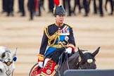 Trooping the Colour 2014.
Horse Guards Parade, Westminster,
London SW1A,

United Kingdom,
on 14 June 2014 at 11:07, image #433