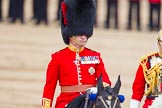 Trooping the Colour 2014.
Horse Guards Parade, Westminster,
London SW1A,

United Kingdom,
on 14 June 2014 at 11:08, image #439